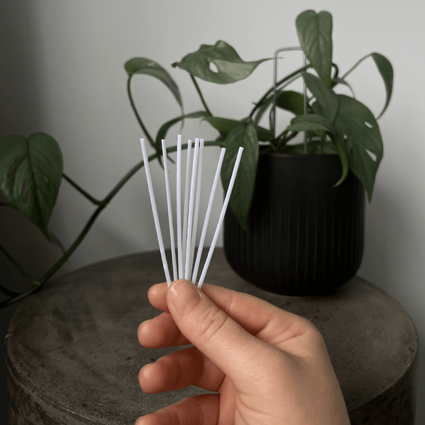 Sandle Candle Wicks